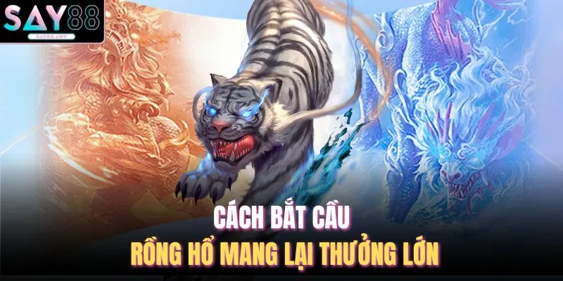 Cách Bắt Cầu Rồng Hổ - 6 Tuyệt Chiêu Tại Nhà Cái SAY88 2 Cách bắt cầu rồng hổ mang lại thưởng lớn