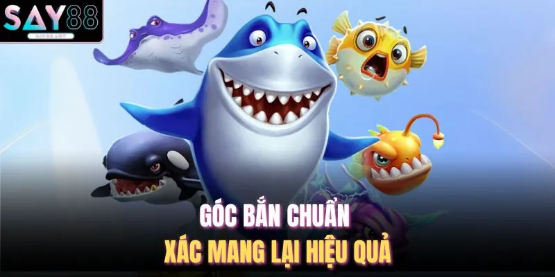 Góc bắn chuẩn xác mang lại hiệu quả