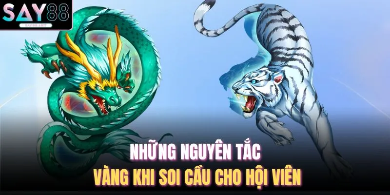 Cách Bắt Cầu Rồng Hổ - 6 Tuyệt Chiêu Tại Nhà Cái SAY88 4 Những nguyên tắc vàng khi soi cầu cho hội viên